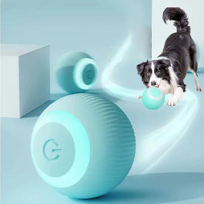 Electric Smart  Pet Ball