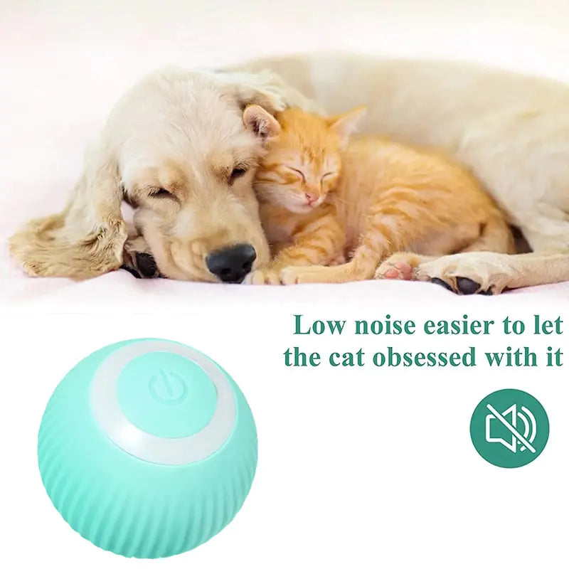 Electric Smart  Pet Ball